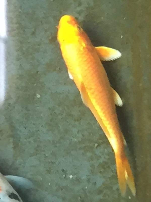 04820934-07F2-4157-9394-EDBBF22C8FF5