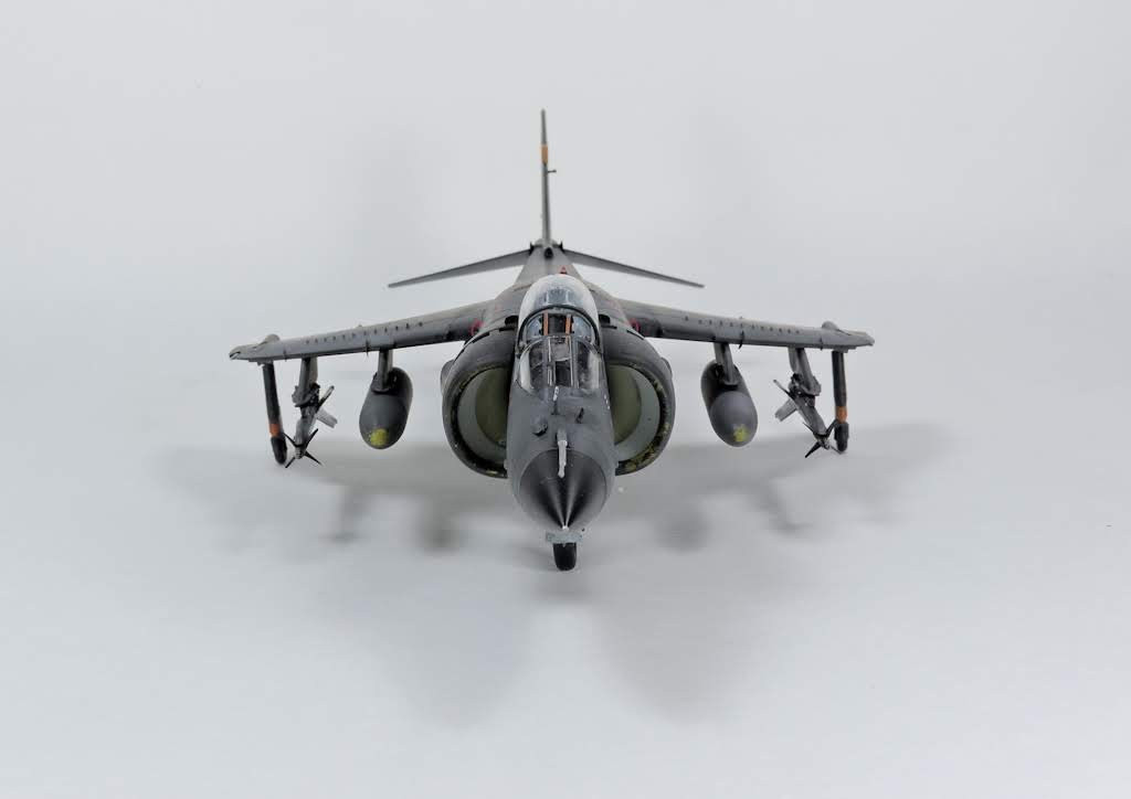 Avion - Sea Harrier FRS1 - Kinetic, 1/48 DSCN7453