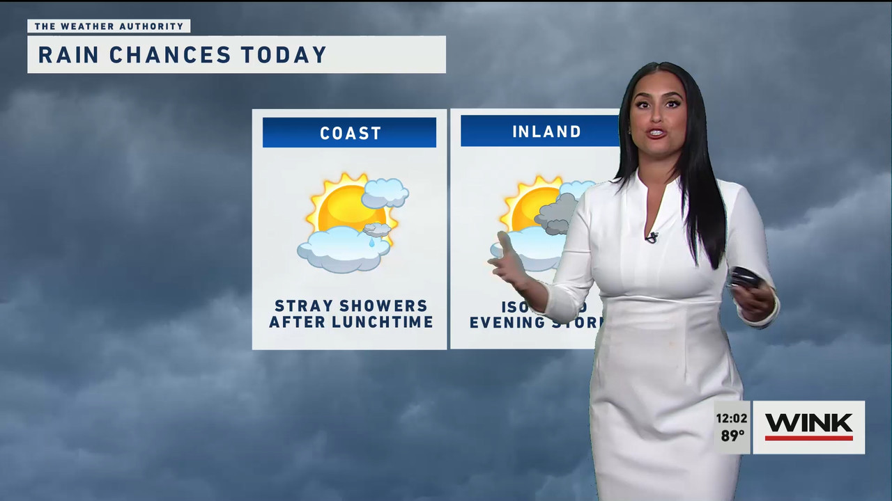 05.16 - 17.00.00 - The WINK Noon News. Midday news update..ts_snapshot_09.34.042