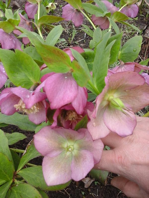 20190416_122305