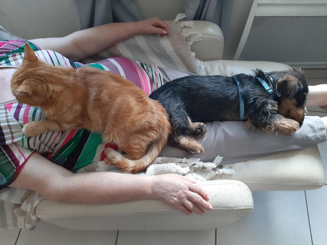 [Image: IMG-20250430-214803.jpg]