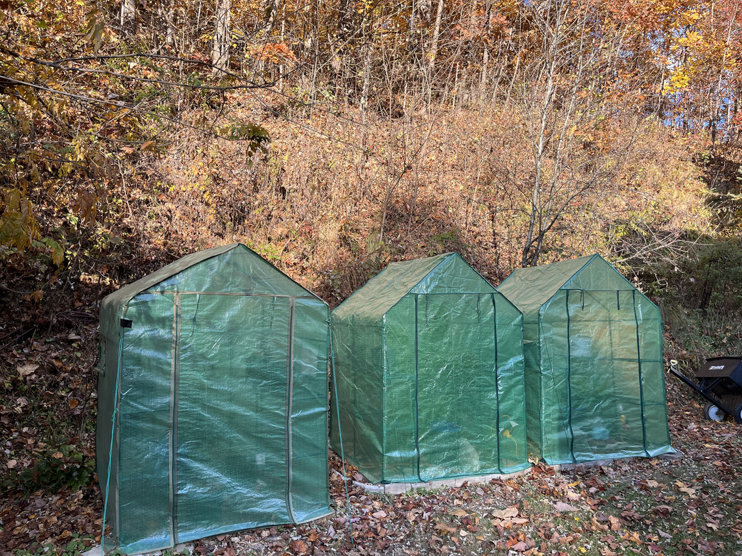 9889385F-F405-4F77-8D12-859EB3AA7125