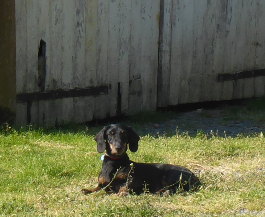 [Image: P1030064.jpg]