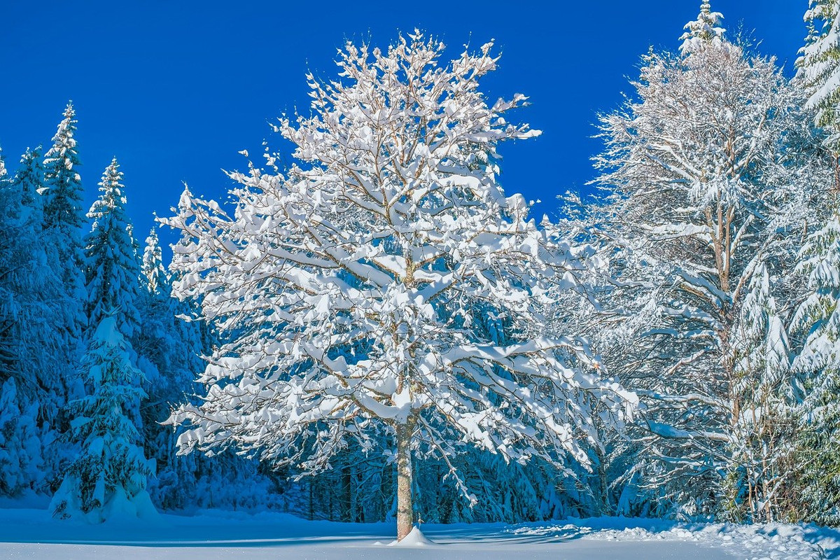 white-wintry-4711457-1280.jpg