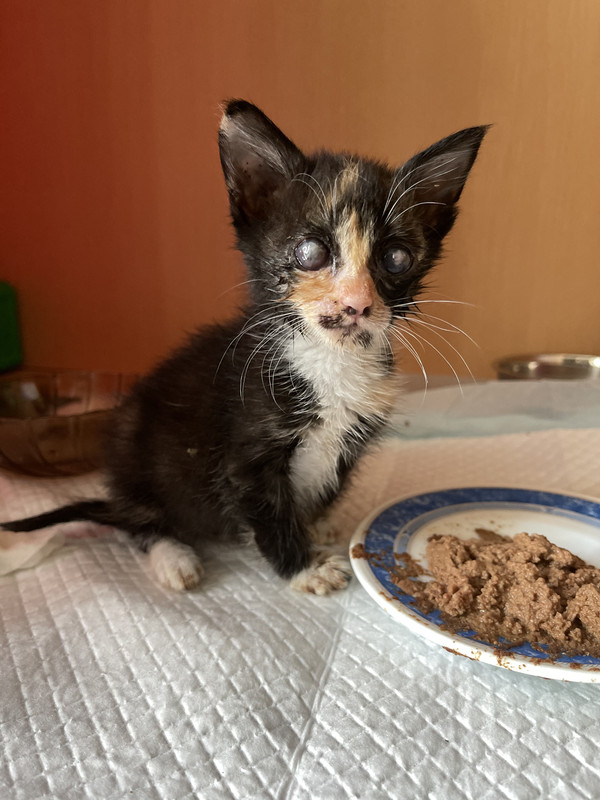 AF018EA8-6C97-486B-8AEF-5232A8A1295D