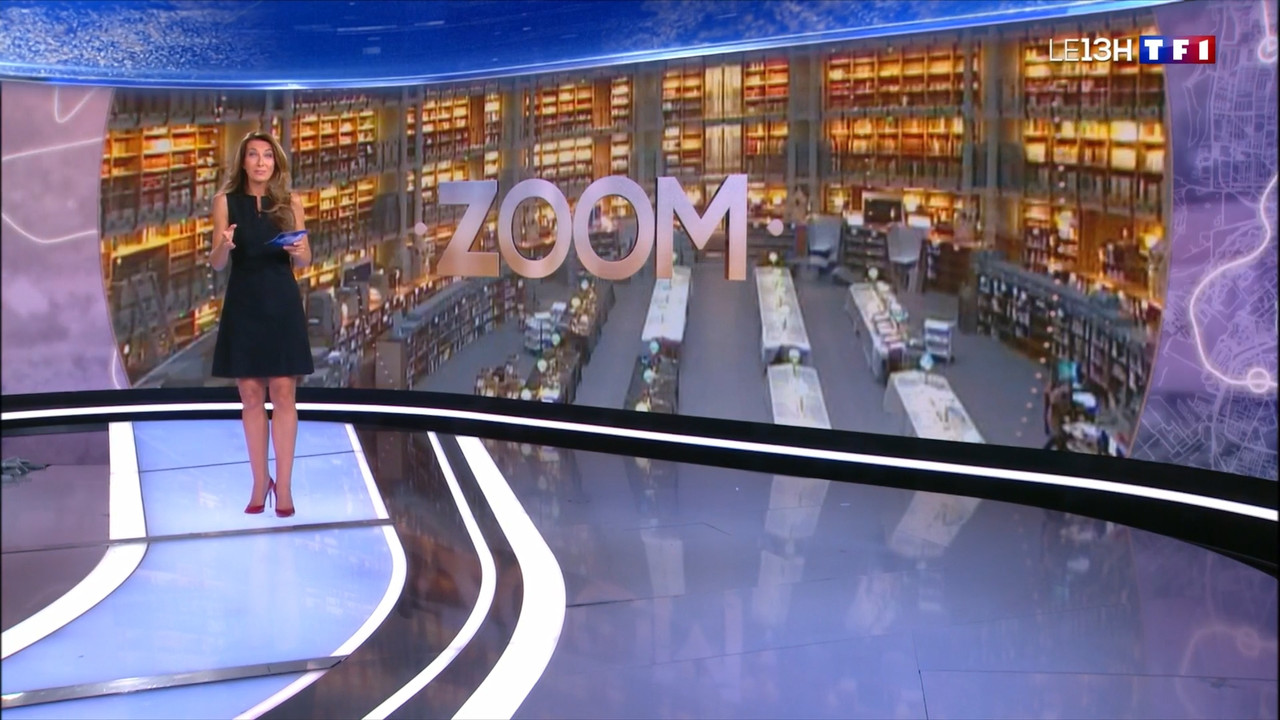 2022-09-18_13_00_TF1_Le-13h.mp4_snapshot_19.19.515