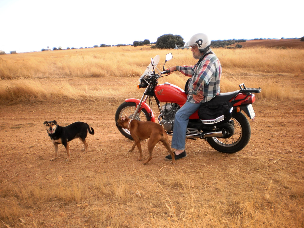 Scrambler (II) 4 Sep 11