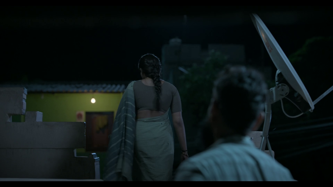 vlcsnap-2025-04-24-21h03m50s720