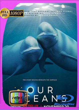 Nuestros océanos (2024) Temporada 1 [1080p] dual Latino [GoogleDrive]