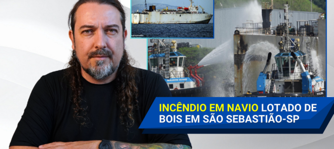Navio com 2.600 bois pega fogo no porto de São Sebastião, São Paulo