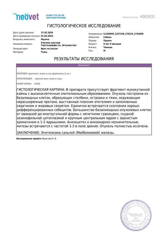 DOC 20240326 WA0009 — Postimages