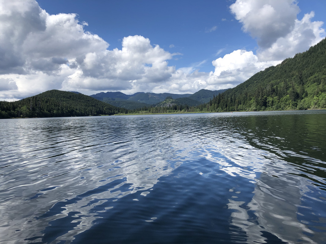 DBB1BCE9-2E6E-48E9-9212-4224E599D8CA