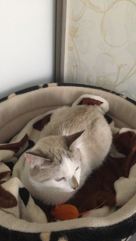 IMG-0e05cabe1455588caa7f564b8a2bed55-V