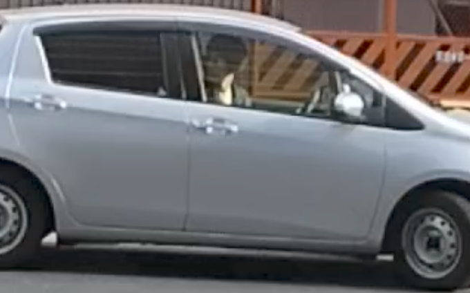 集団ストーカー転回おじさん2