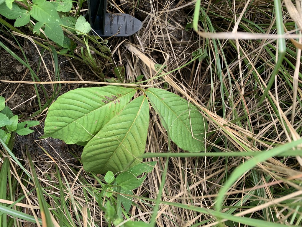 5CAC7736-61E6-4EA5-9D5F-8C6B6F9D289B