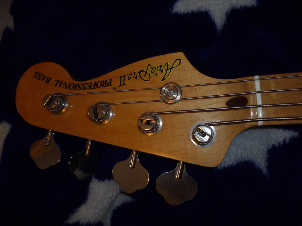 P1010598_????? ??????