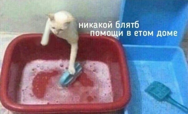 166213809316750545.jpg