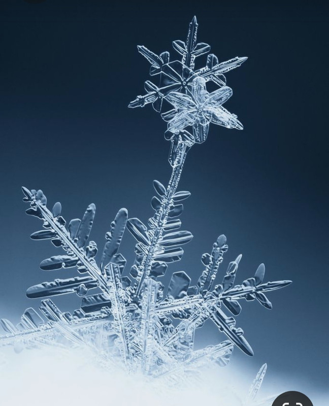 Screenshot_20231019_203026_Pinterest