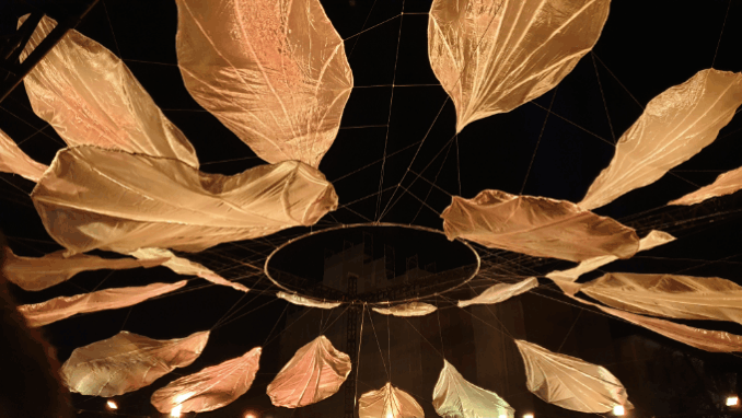 Petal light play