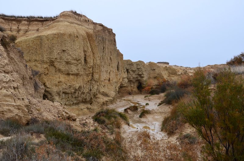 Navarra y sus pueblos-2015 - Blogs de España - Las Bárdenas Reales-15-11-2015 (31)