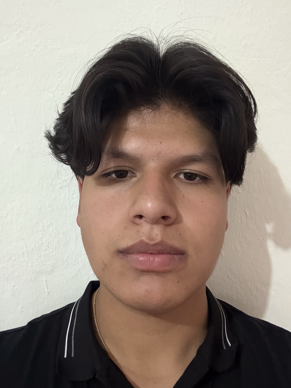Luis Ramses Ontiveros Campos