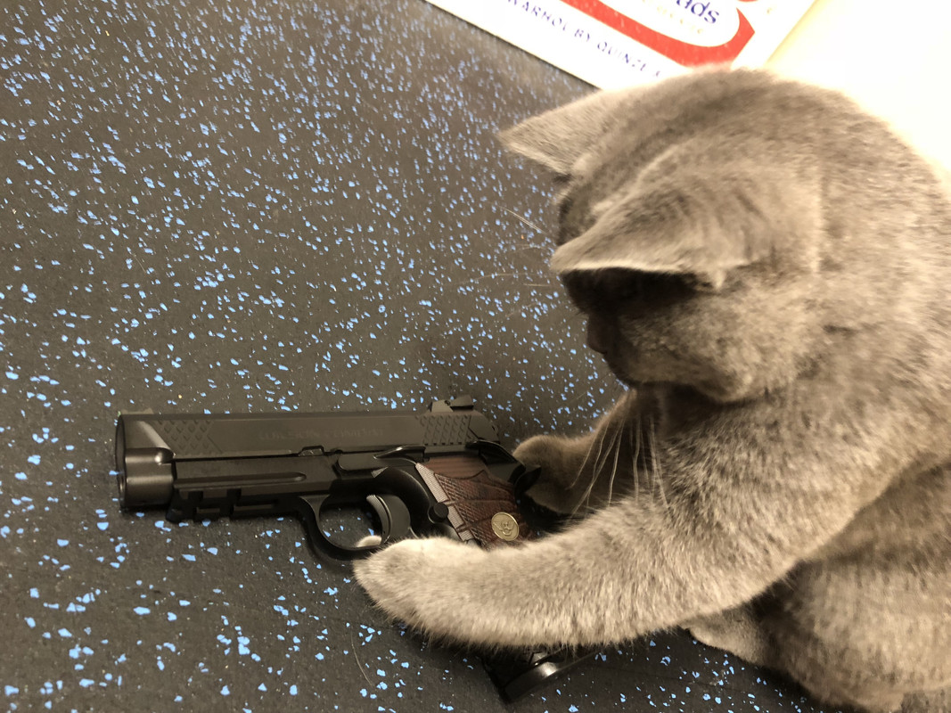 AD5C63EC-E746-4D15-8179-640EAFEEB0AC_1_201_a