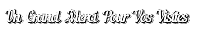 Un-Grand-Merci-VOS-VISITES-petit22