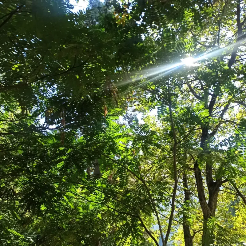 IMG_20230918_113754_524