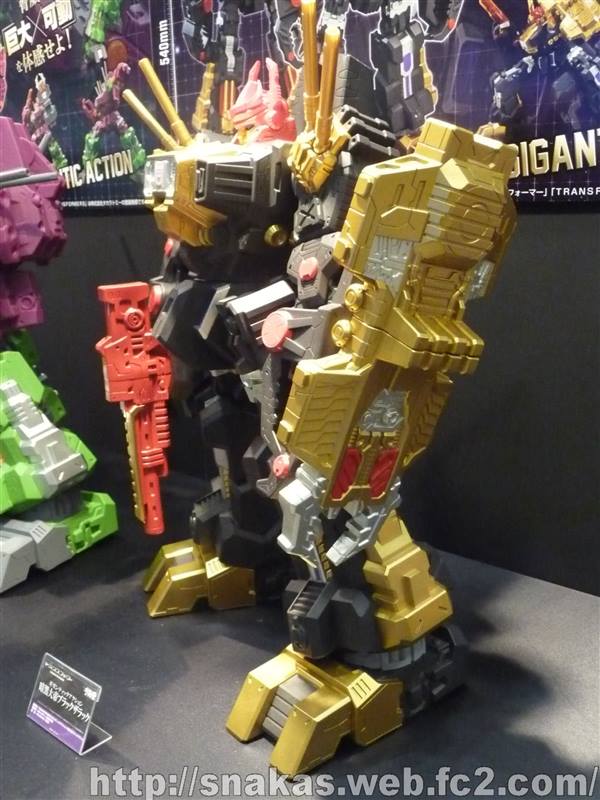 10350347_494783923957545_3990565489100512684_n