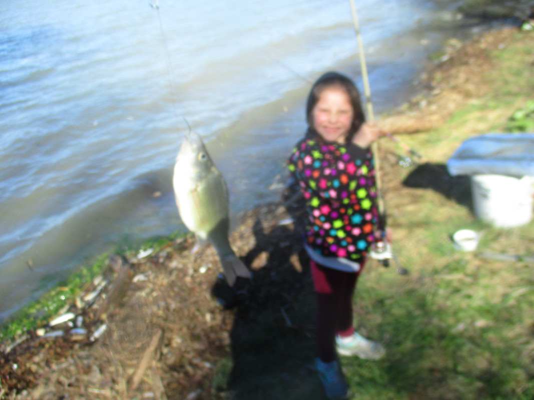 alayna fishing at stankys 005