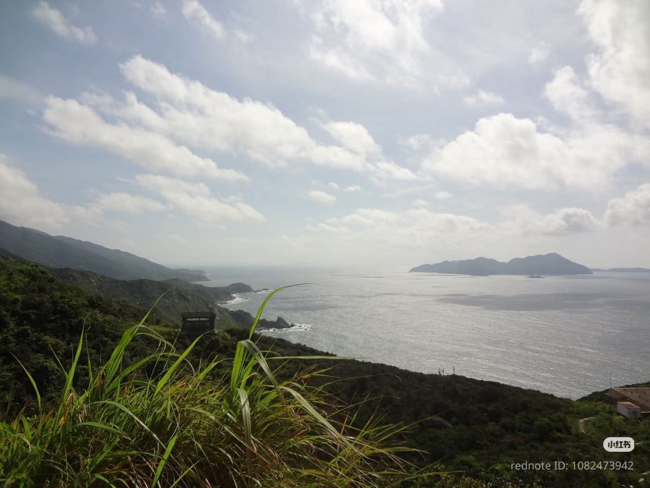 photo 11 2026 01 16 22 06 21