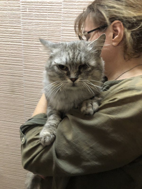 5ED21374-3776-48A6-8049-E19F007A2190