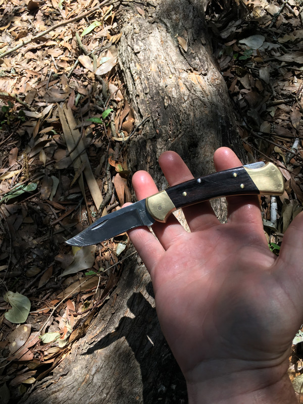 98D60536-AE82-44A0-80D5-D3F1391B8CE4