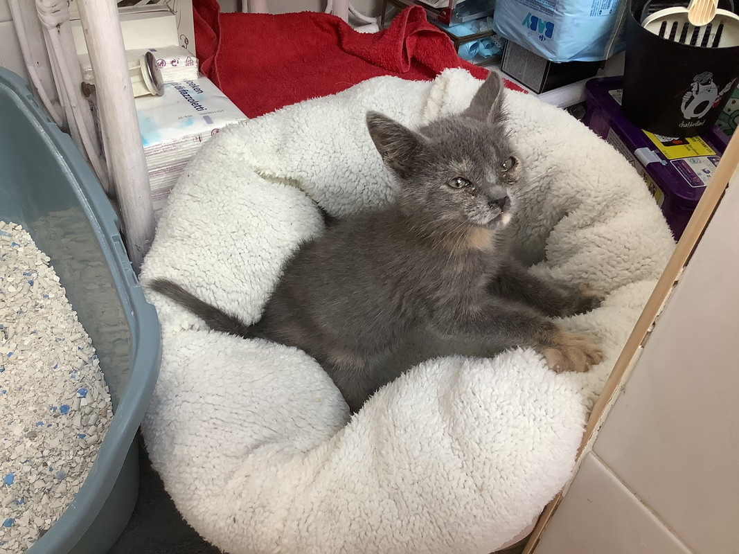 8C46F1D9-9A36-4881-BC52-6DBB43BE3434