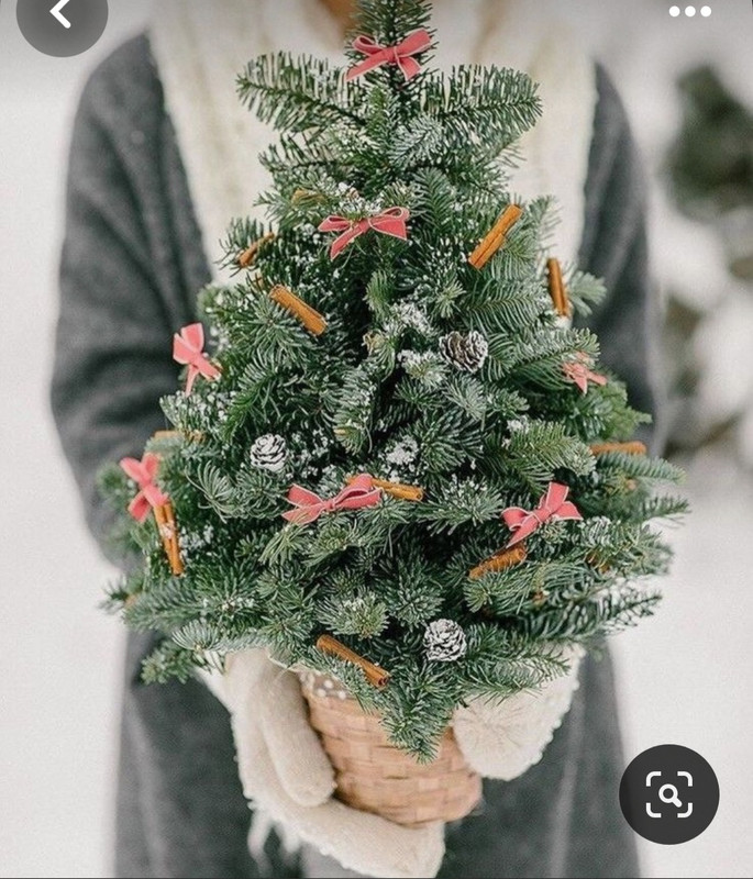 Screenshot_20240202_162706_Pinterest