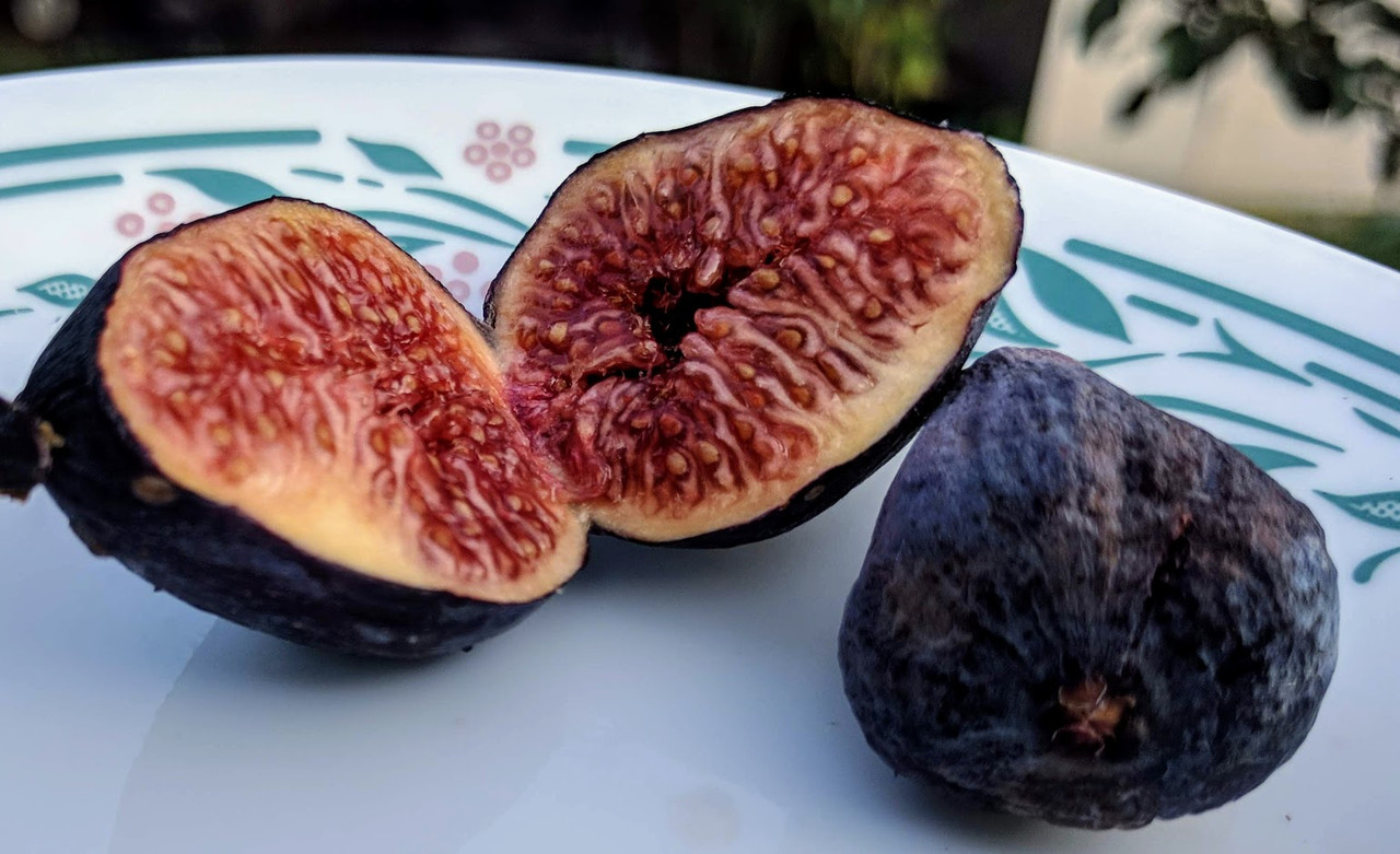 Valle Negra 09-04-2019