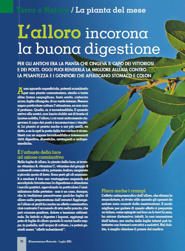 Alim Nat Lug 2021 (11)