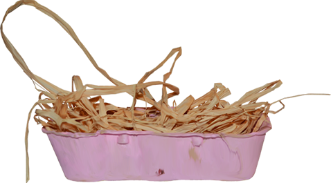 KBK_PrettyRabbit (133)