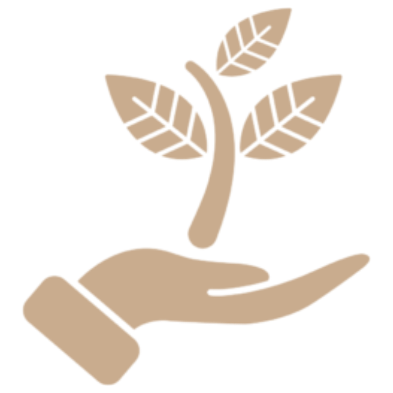 Tree icon