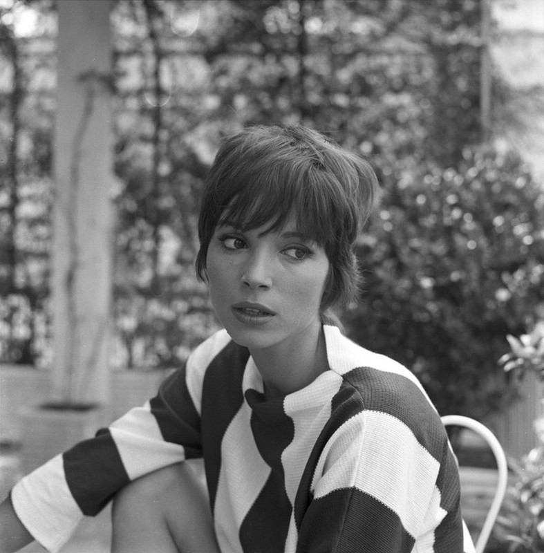 elsa_martinelli_d64