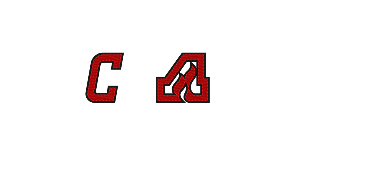 Flames2000Lgt Bck Num B