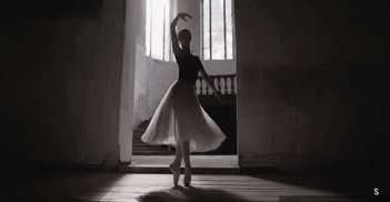 IMG-9865.gif
