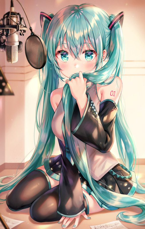 hatsune-miku-vocaloid-drawn-by-tokkyu-9d51209291efa1fa37551063638435fb-1