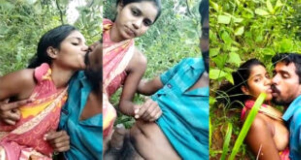 Desi-jungle-310x165.jpg