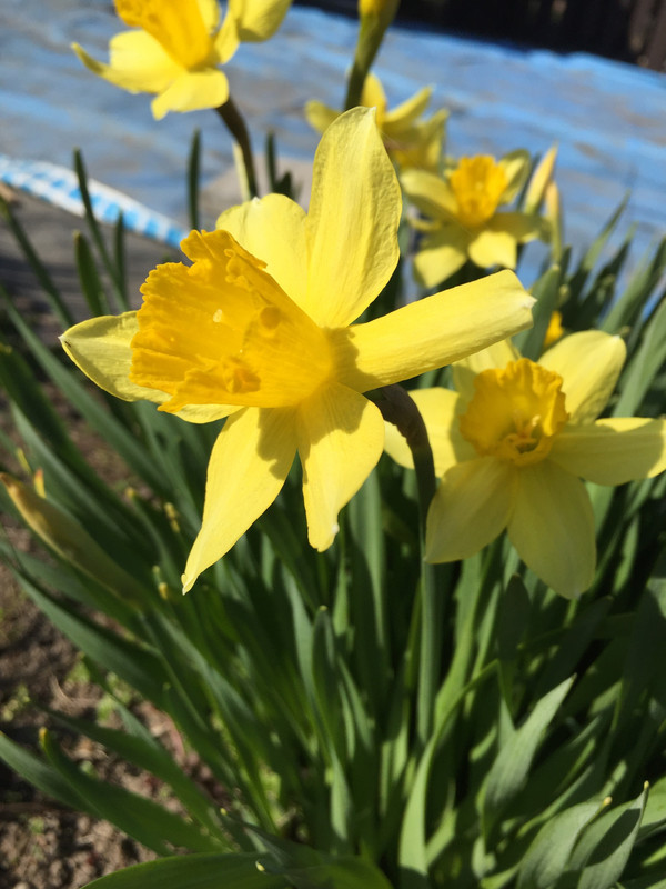 E137624C-6CEF-4061-B837-0C227B6EE9A6