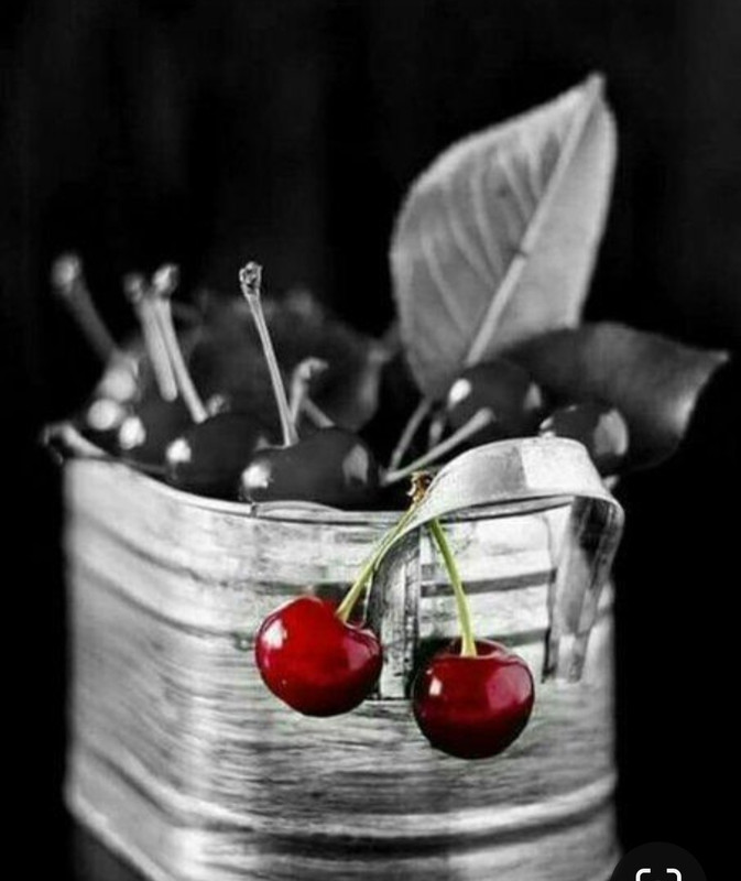 Screenshot_20230409_230246_Pinterest