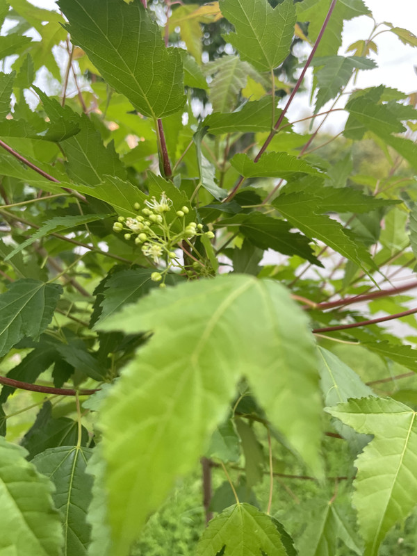 B13C8176-6CEC-4192-958F-8D7A202356D4