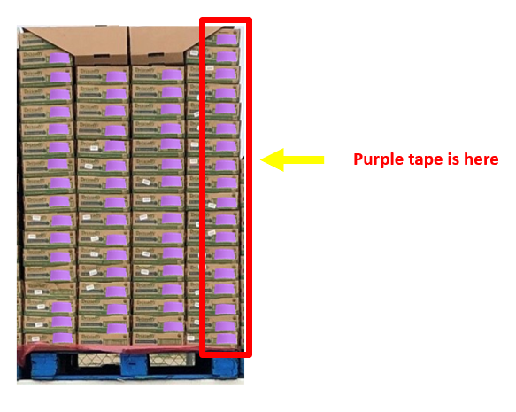 Purple Tape