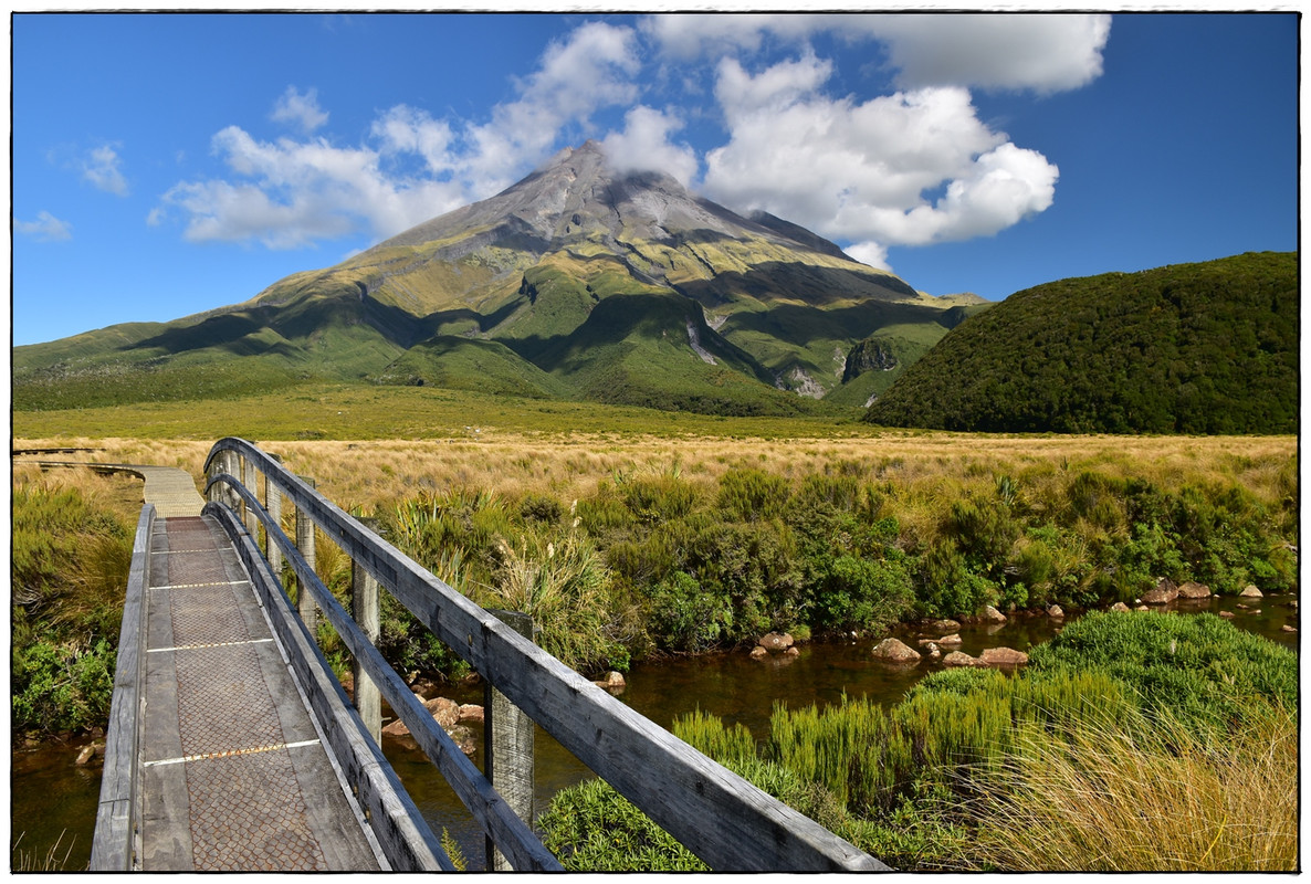 Escapadas y rutas por la Nueva Zelanda menos conocida - Blogs de Nueva Zelanda - Egmont / Taranaki NP: Pouakai Circuit (marzo 2021) (18)