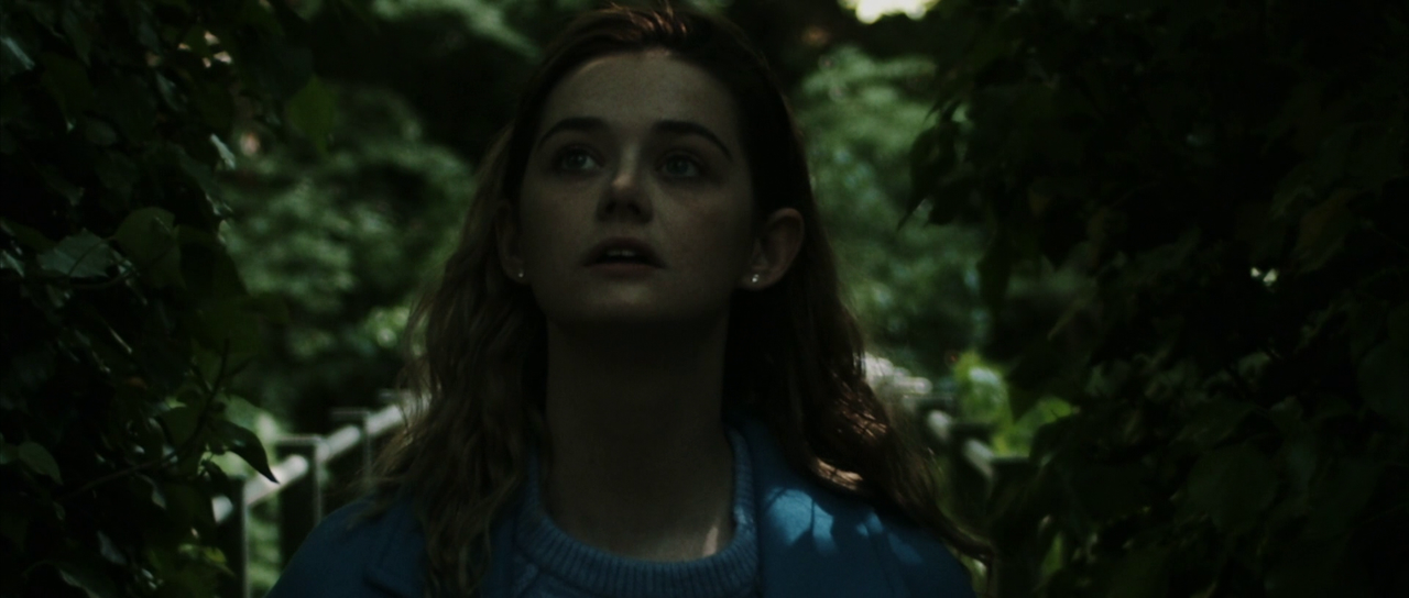 vlcsnap-2024-07-10-20h19m21s075